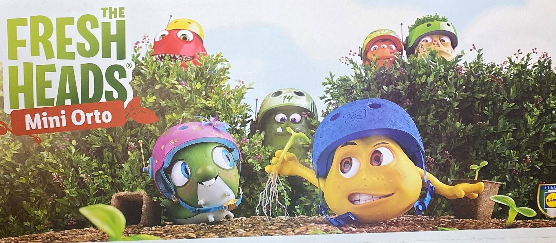 The Fresh Heads® - Mini Orto