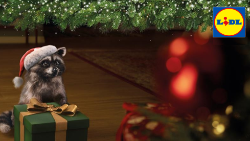 Procione Natale