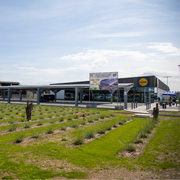 Punto Vendita Lidl di Villafranca (VR)
